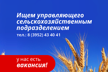 У нас есть вакансия