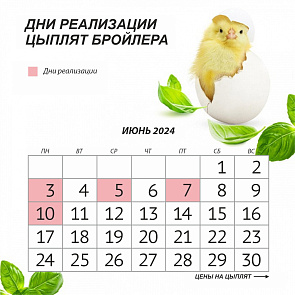 Реализация цыплят в июне 2024 года