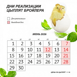 График реализации цыплят в июне 2026 года