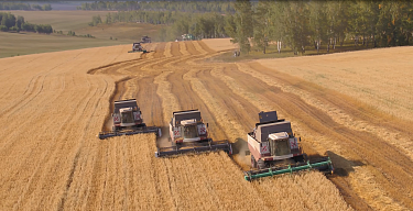 «КУЙТУНСКАЯ НИВА» ЗАВЕРШИЛА СБОР УРОЖАЯ